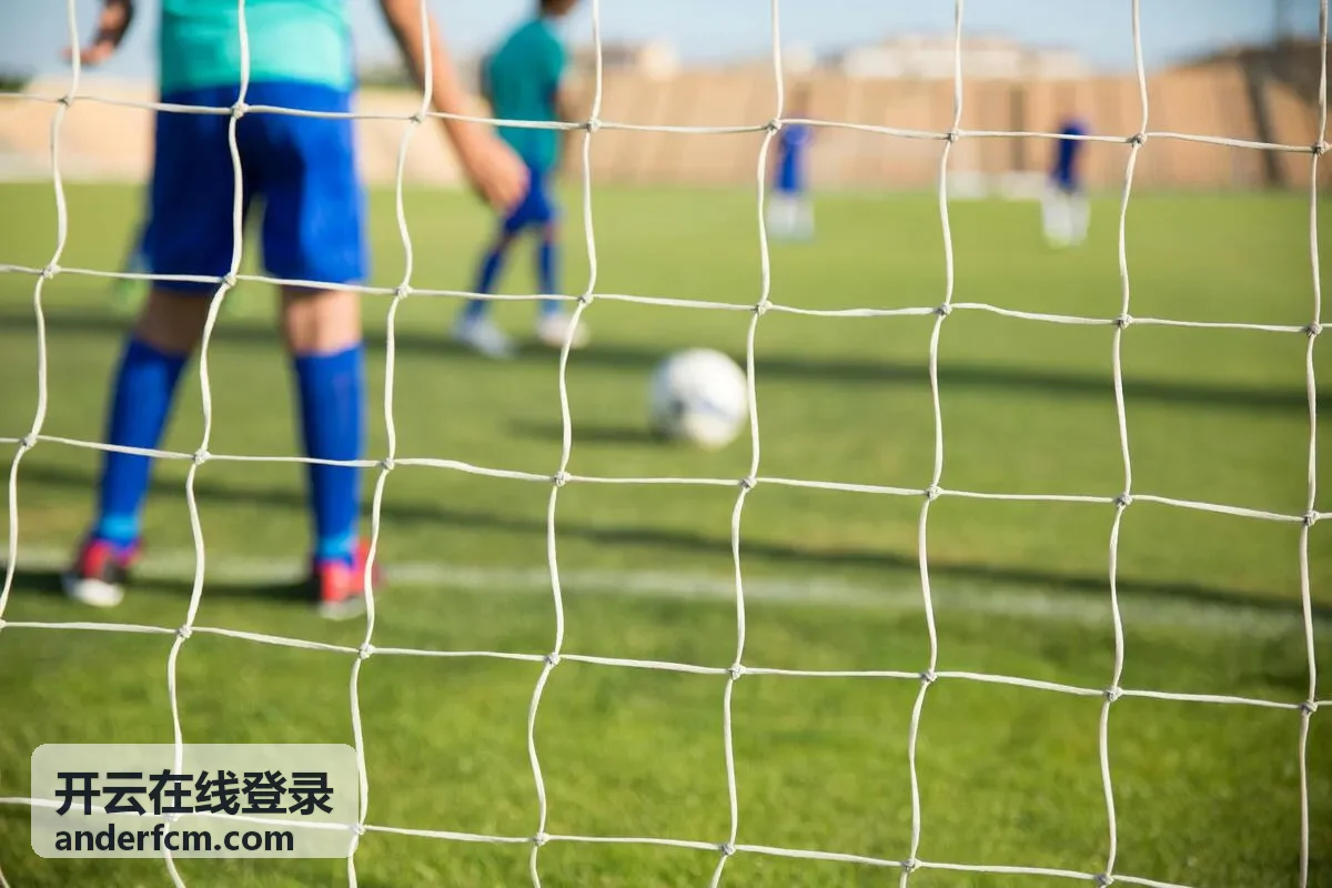 开云在线登录登录记录留存与核对报表示意