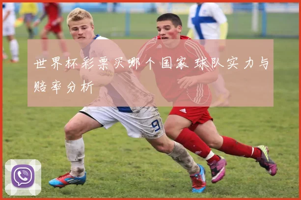 世界杯彩票买哪个国家 球队实力与赔率分析