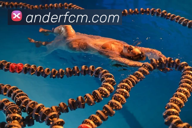 世界杯官方网络平台品牌故事